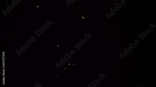 Light of fireflies flying on a summer night in Japan