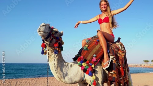 Egypt tourism with camel riding back. Young woman sitting oont and posing on camera near sea and sky. Camera moves from left to right. Danger of Mers Corona Virus transfer from camel to human in Asia. photo