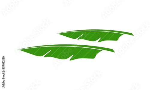 Banana tree leaf simple illustration vector design
