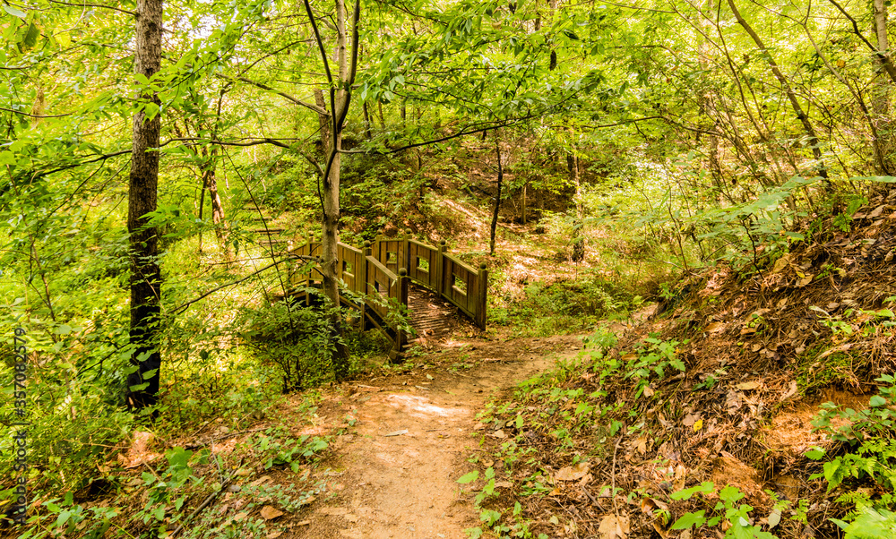 Wooden foot bridge in a woodland park Wooden foot bridge in a woodland park