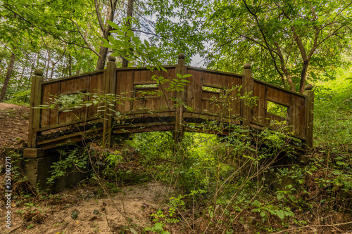 Wooden foot bridge in a woodland park