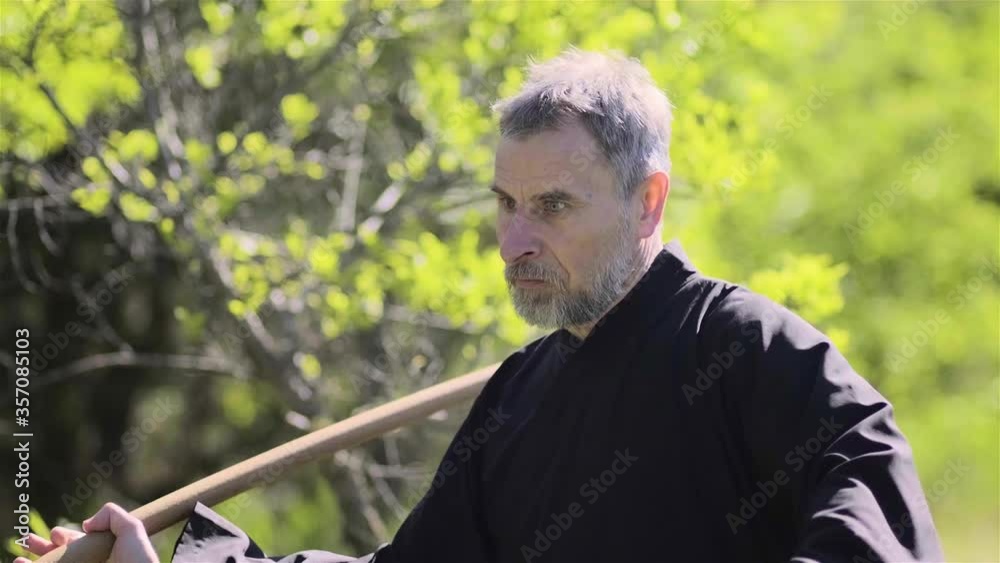 European master tai Chi demonstrates kung fu with a fighting stick European master tai Chi demonstrates kung fu with a fighting stick
