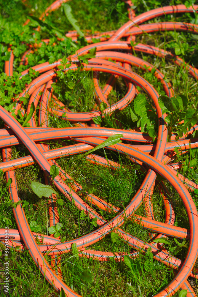 orange garden hose entangled in green grass