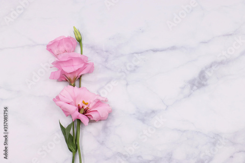 various forms of lisianthus