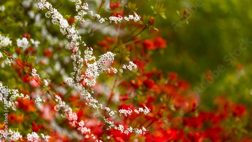 전통적인 한국 풍경