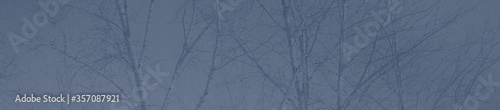 abstract grey and dark blue colors background for design
