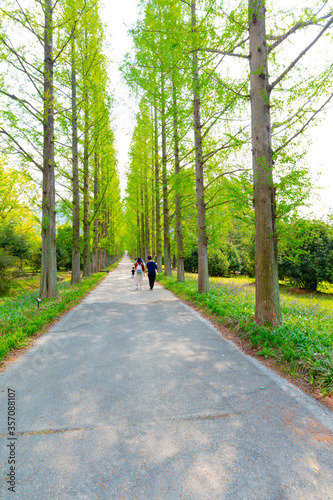 Wallpaper Mural 바다 Torontodigital.ca
