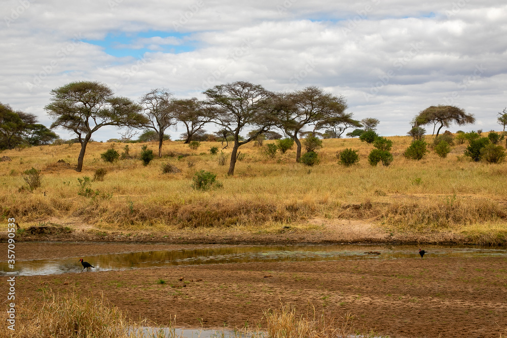 タンザニア・タランギーレ国立公園にある枯れた川と、雲間から見える青空