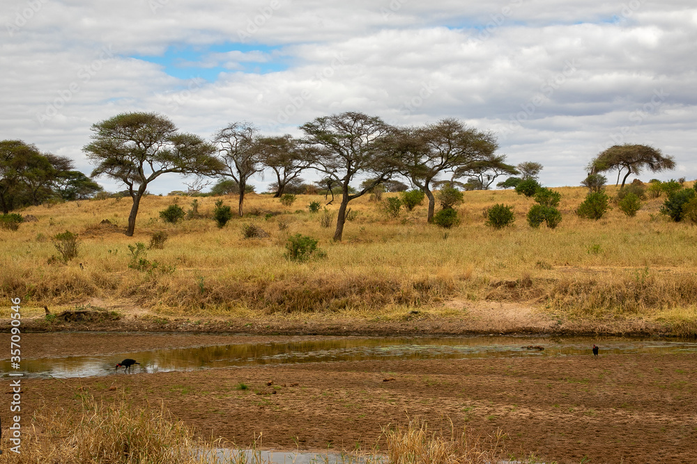 タンザニア・タランギーレ国立公園にある枯れた川と、雲間から見える青空