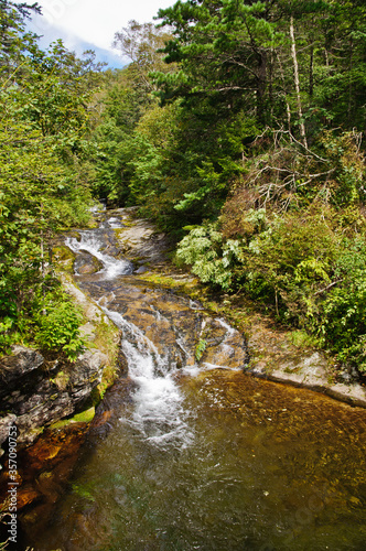 A beautiful mountain river flows between the rocks and trees