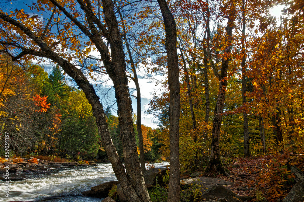 Autumn leaf color with the river rapid in a public park. Autumn leaf color with the river rapid in a public park.