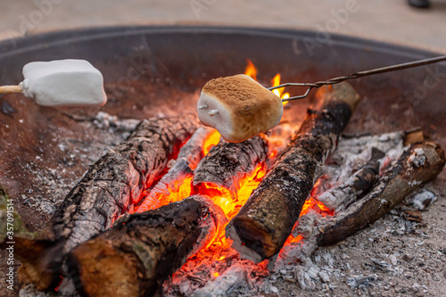 Toasting Marshmallows Over Campfire in the Summertime