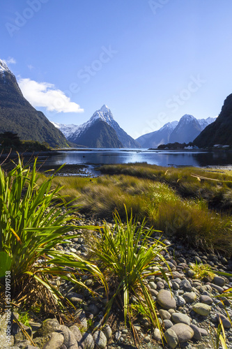 Panoramic View at Milford Sound, South Island, New Zealand; Morning Time Scenery