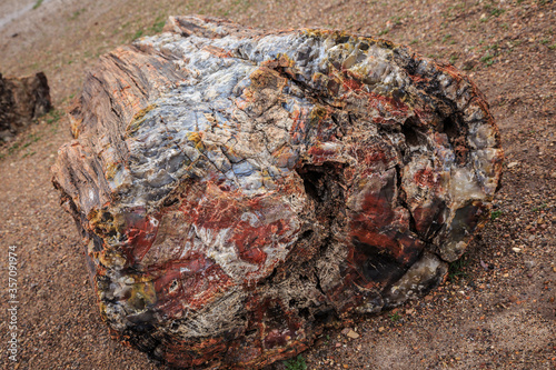 Fields of Petrified Logs at Crystal Forest, Petrified Forest National Park, Arizona