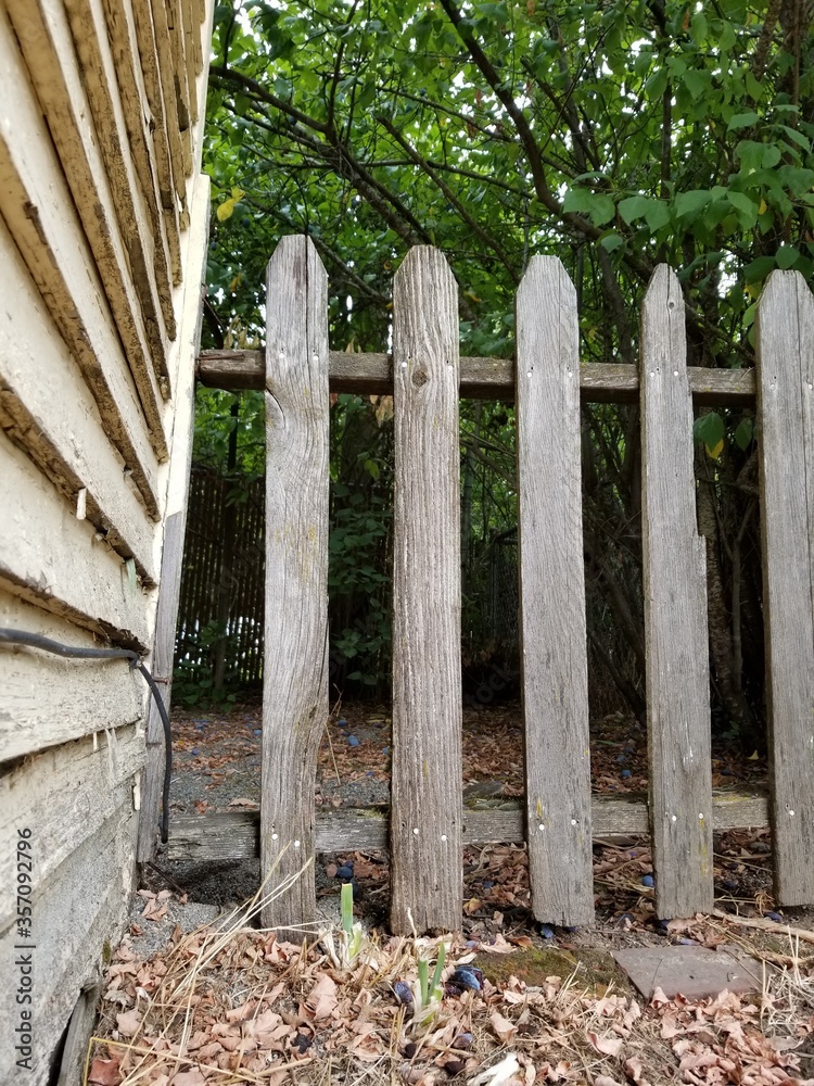 Naklejka premium Weathered Fence