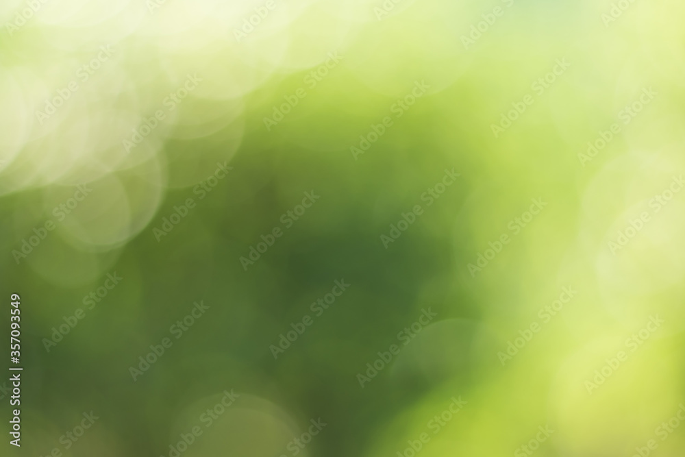 Natural outdoors bokeh background in green and yellow tones, Blurred green tree leaf background with bokeh