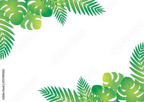 モンステラとヤシの葉のフレーム