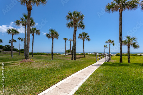 Wooden walkway surrounded by palm trees leading to the Atlantic Ocean