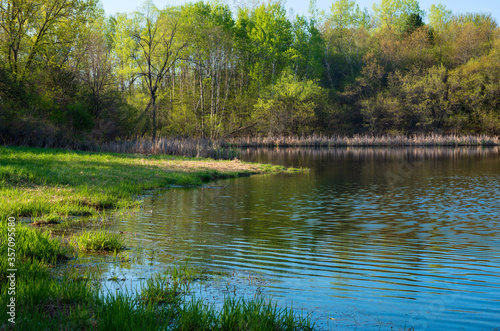 salem hills pond and woodlands in spring photo