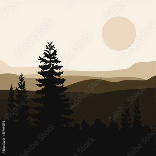 desert landscape