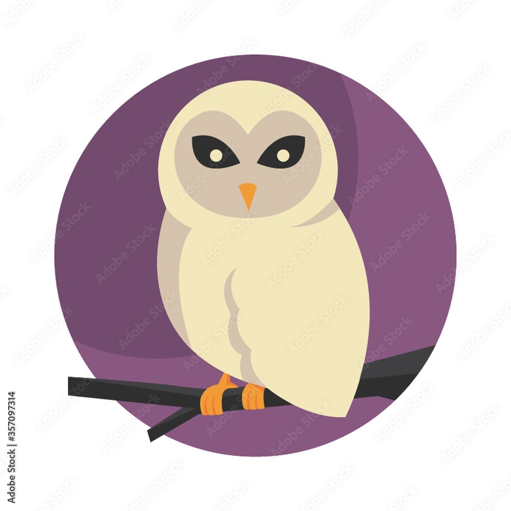 Fototapeta premium owl