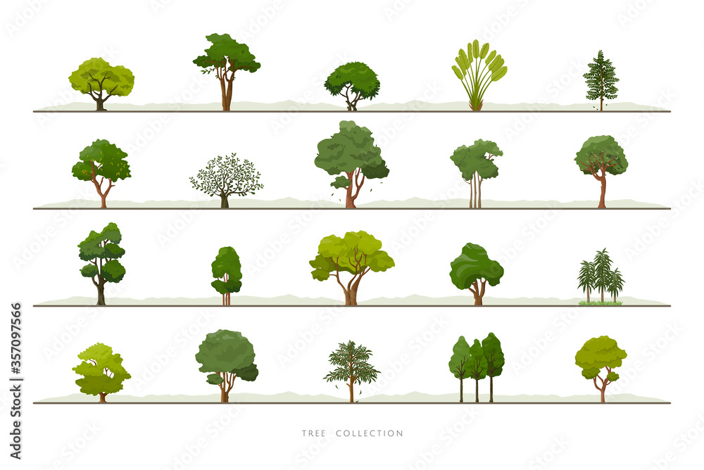 Collection of various green tree vector icon set on white background