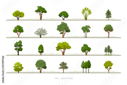 Collection of various green tree vector icon set on white background photo