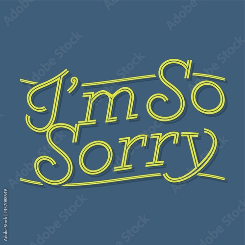 sorry quote