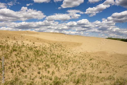Landscape of the Great Sandhills near the town of Leader, Saskatchewan, Canada