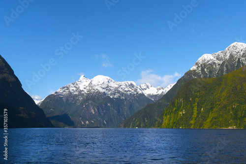 Morning Scenery of Milford Sound, South Island, New Zealand