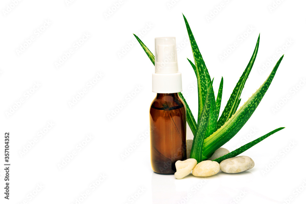 Aloe Vera leaves and Aloe Vera products . Aloe Vera leaves and Aloe Vera products .