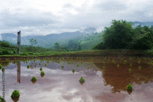 Green Terraced Rice Field in Pa Pong Pieng , Mae Chaem, Chiang Mai, Thailand