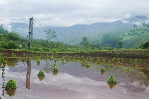 Green Terraced Rice Field in Pa Pong Pieng , Mae Chaem, Chiang Mai, Thailand