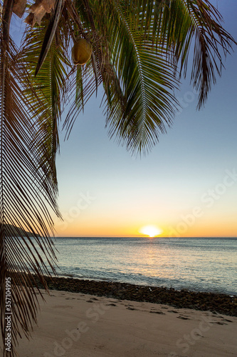 Tropical sunset with palm tree on the beach