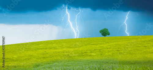 Bright lightning hit the tree with green grass field - Stormy sky with thunderbolt over rural landscape
