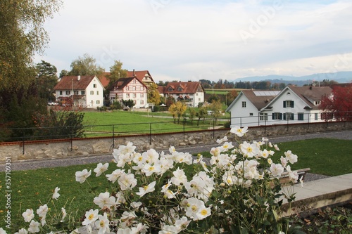 White flowers overlooking charming Swiss houses in the country side.