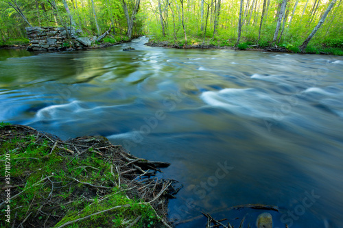 Fototapeta Naklejka Na Ścianę i Meble -  Willimantic River in the Kollar WMA of Tolland, Connecticut.