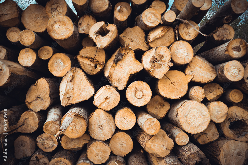 stack of wood stack of wood