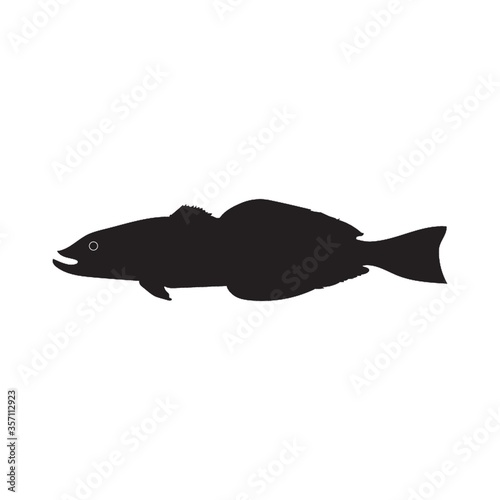 silhouette of fish