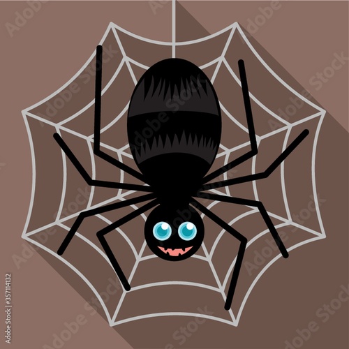 spider