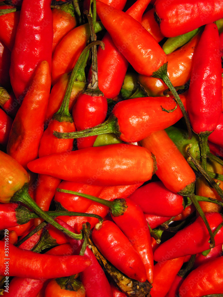 Red hot spicy chili close up