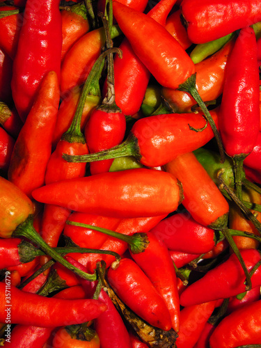 Red hot spicy chili close up