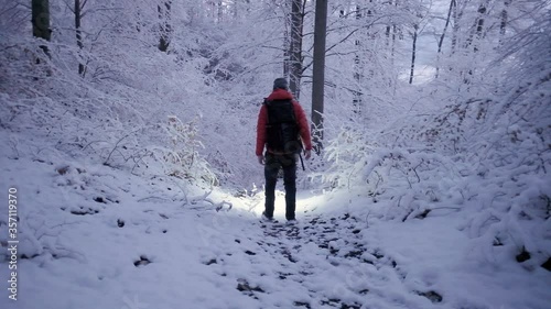 A man walking with a orange jacket away from the camera down a hill with a headtorch on. . A photographer walking in the snow at sunrise to photograph Lake Bled. photo