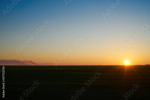 Image of a field of young wheat at sunset.