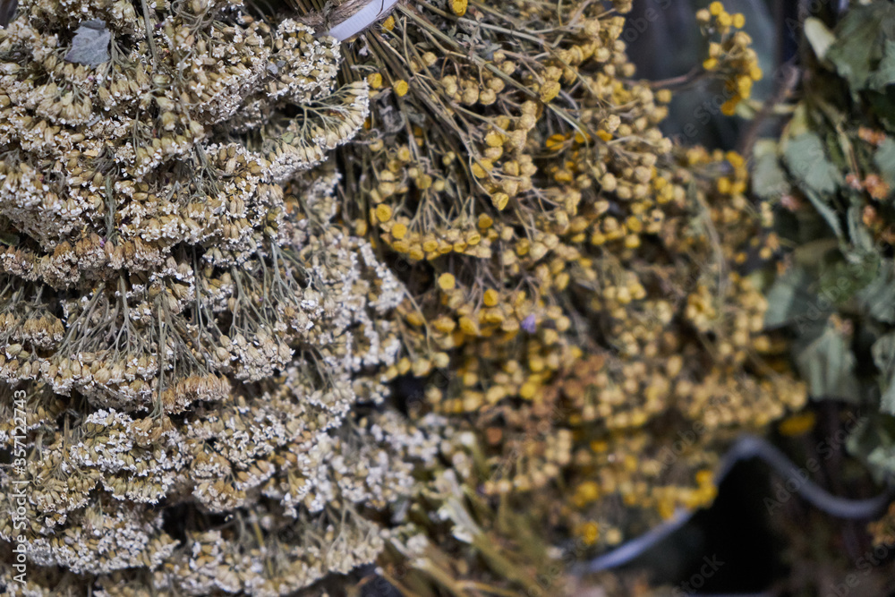 Image of dried flowers.