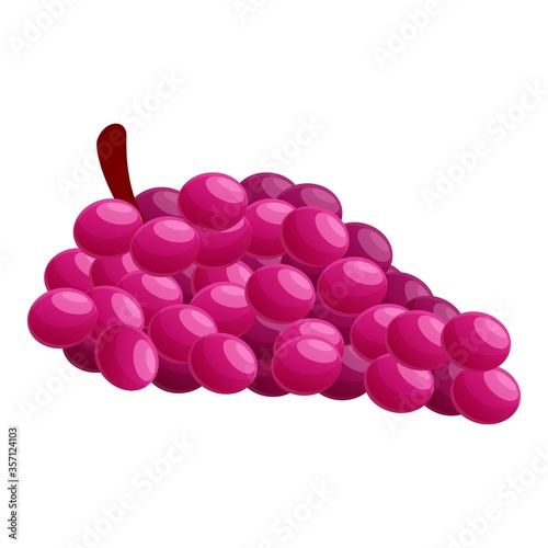 Red fresh grapes icon. Cartoon of red fresh grapes vector icon for web design isolated on white background