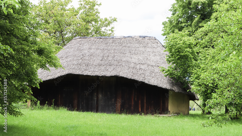 Fototapeta premium The old house of peasants in the museum Pirogovo or Pirogov. Country estate. National Museum of Folk Architecture and Everyday Life of Traditional Folklore Houses of Different Regions of Ukraine