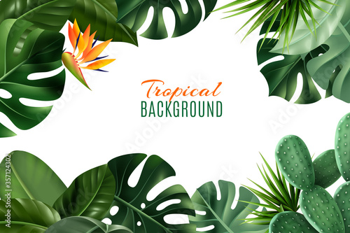 Tropical Background With Frame From Leaves 
