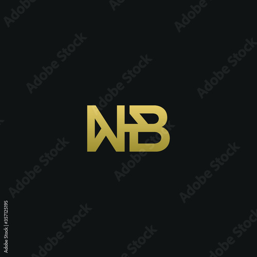 Creative modern elegant trendy unique artistic NB BN N B initial based letter icon logo.