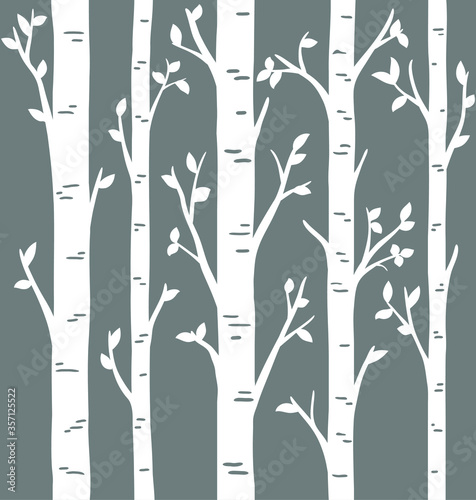 Birch grove background for your design. Vector birch or aspen trees with leaves. Set of laser cut simple trees. Pattern suitable for laser cutting or print.